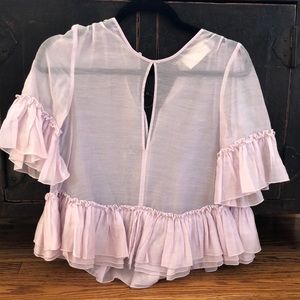 Organza Peplum Sheer Blouse